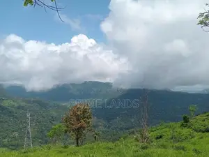 View Point Land for Sale Nuwara Eliya Road