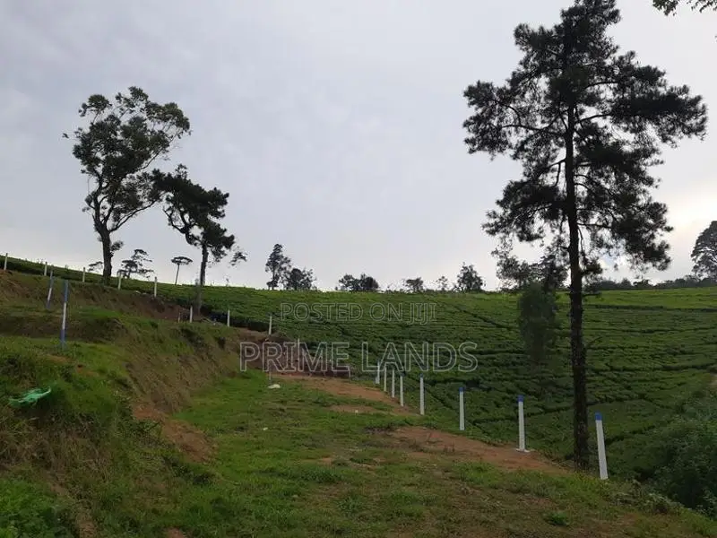 View Point Land for Sale Nuwara Eliya Road