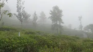 View Point Land Nuwaraeliya Road