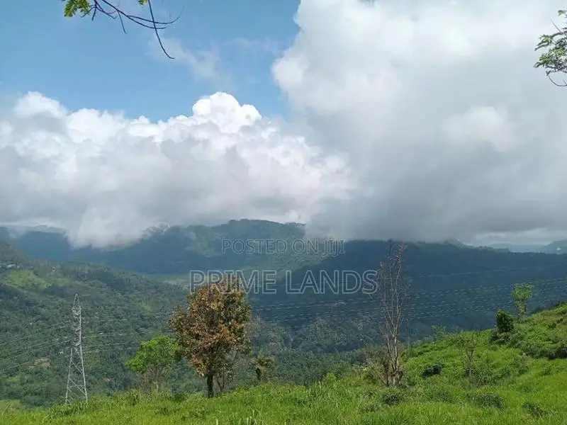 View Point Land Nuwaraeliya Road