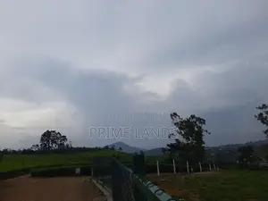 View Point Land for Sale Nuwara Eliya