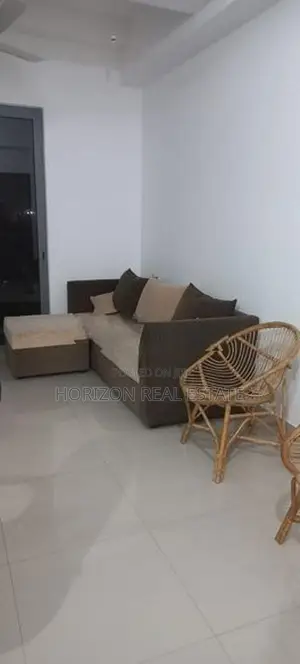Two bedroom furnished apartment for rent in oval view Colombo 8