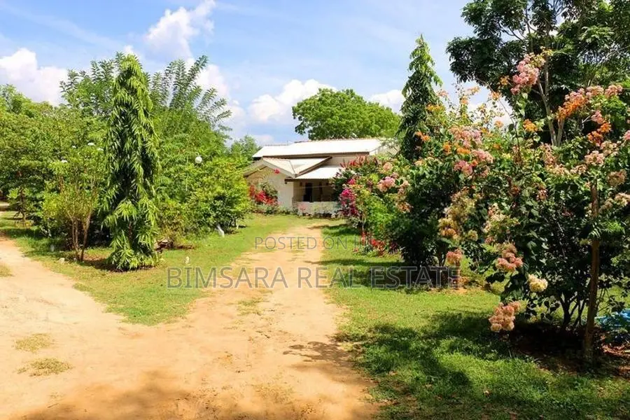 An Eco Lodge for sale in Tissamaharama | LC 1479