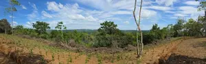 Prime 588P Sea View Land for Sale in Weligama | SL14796