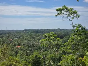 Prime 588P Sea View Land for Sale in Weligama | SL14796