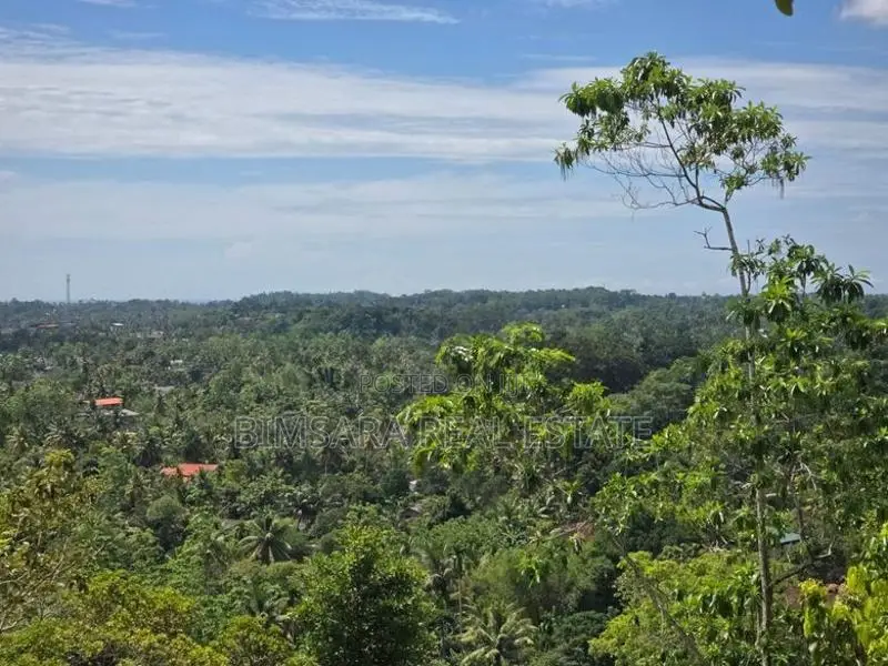 Prime 588P Sea View Land for Sale in Weligama | SL14796