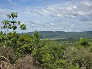 Prime 588P Sea View Land for Sale in Weligama | SL14796