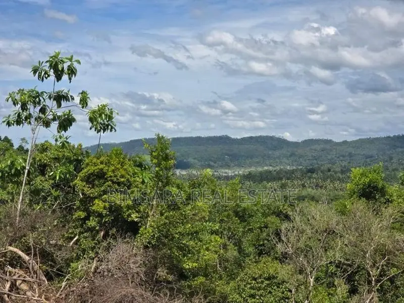 Prime 588P Sea View Land for Sale in Weligama | SL14796