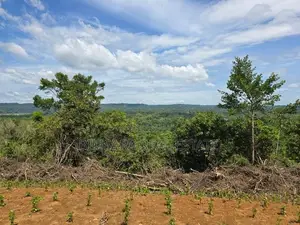 Prime 588P Sea View Land for Sale in Weligama | SL14796