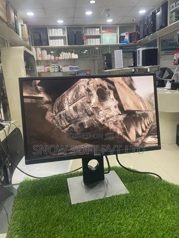 23" IPS Monitor