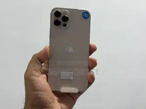 Apple iPhone 12 Pro 256GB (Used)