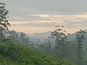 View Point Kabana Land for Sale Hatton