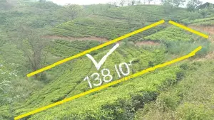 View Point Land for Sale Nuwara Eliya