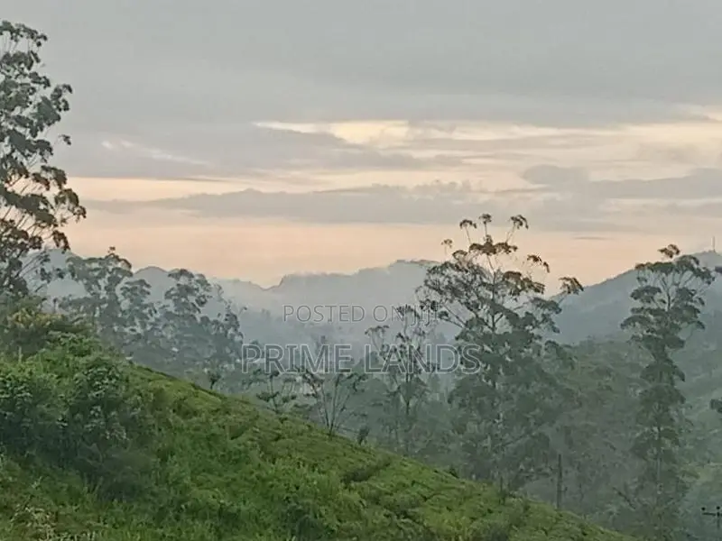 View Point Land for Sale Hatton