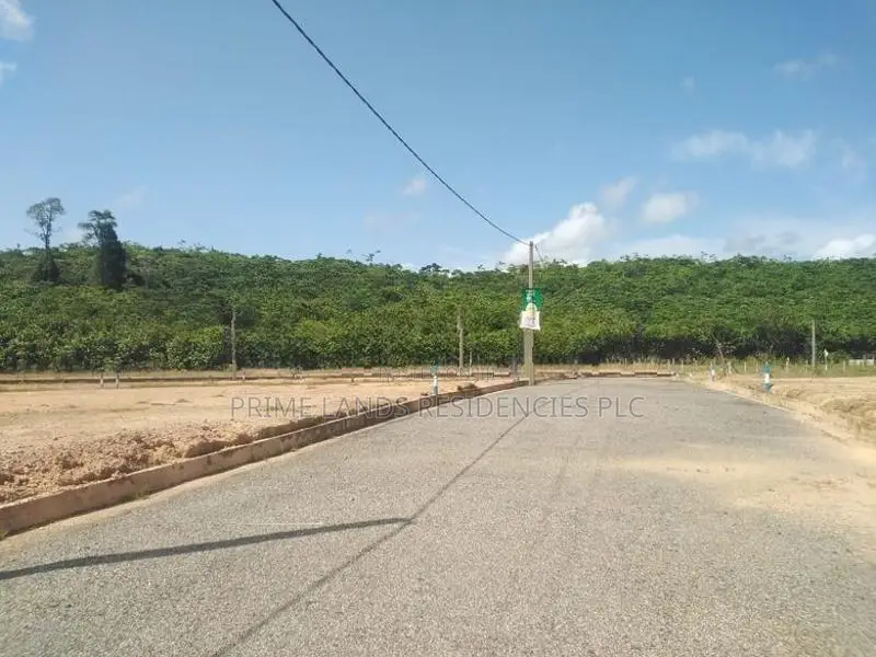 Land for Sale වැලිපැන්න,අලුත්ගම