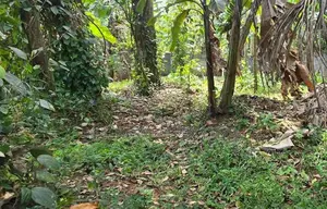 Land For Sale in Gannoruwa - Peradeniya