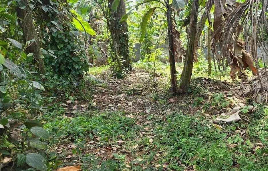 Land For Sale in Gannoruwa - Peradeniya