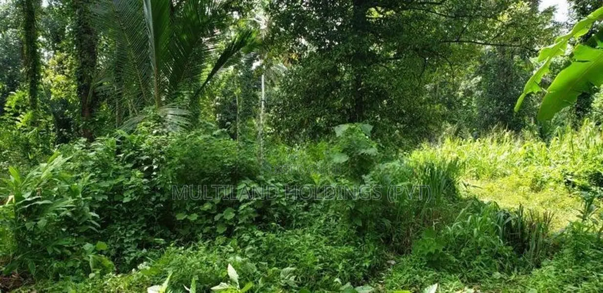 Land For Sale in Pilimathalawa