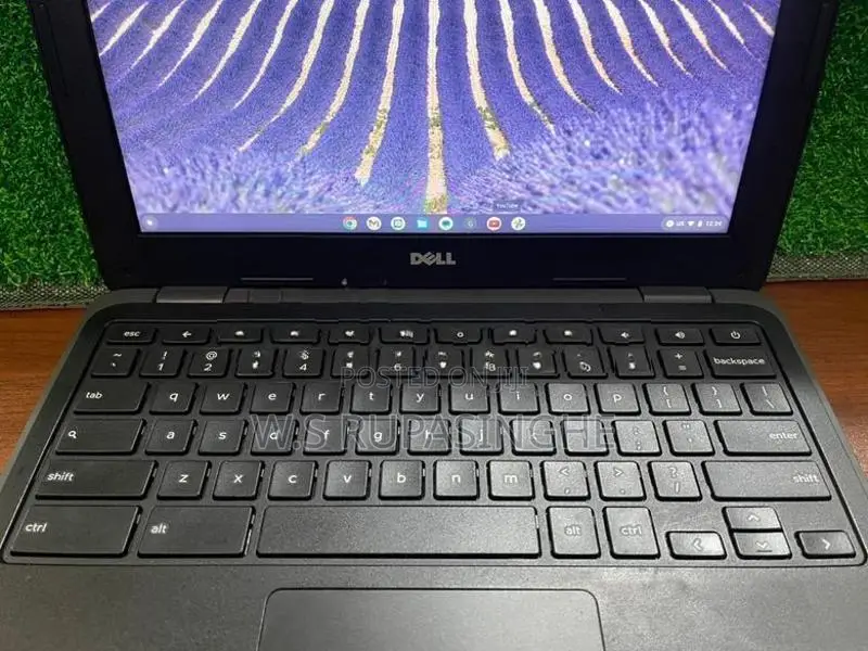 Dell Chromebook