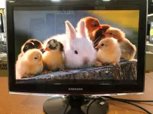 19’’ Wide LCD Monitor