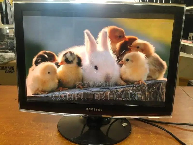 19’’ Wide LCD Monitor