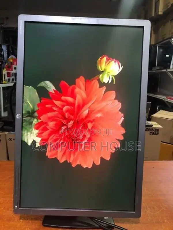24’’ Wide LED Monitor