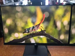 24’’ Wide IPS Frameless HDMI Monitor