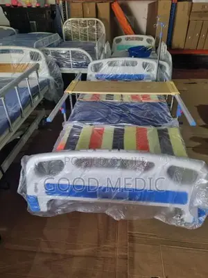 Four Function Manual Beds with Sanitory