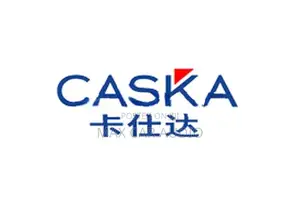 Caska Car Audio Android Apple Play DVD Setup 9 Inch
