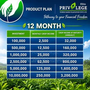 Tax Free Investment With Power Hands Plantation 30%Annually