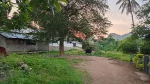 Land for Sale Near Kurunegala Town