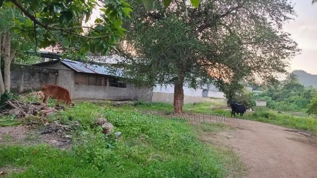Land for Sale Near Kurunegala Town