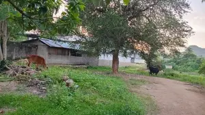 Land for Sale Near Kurunegala Town