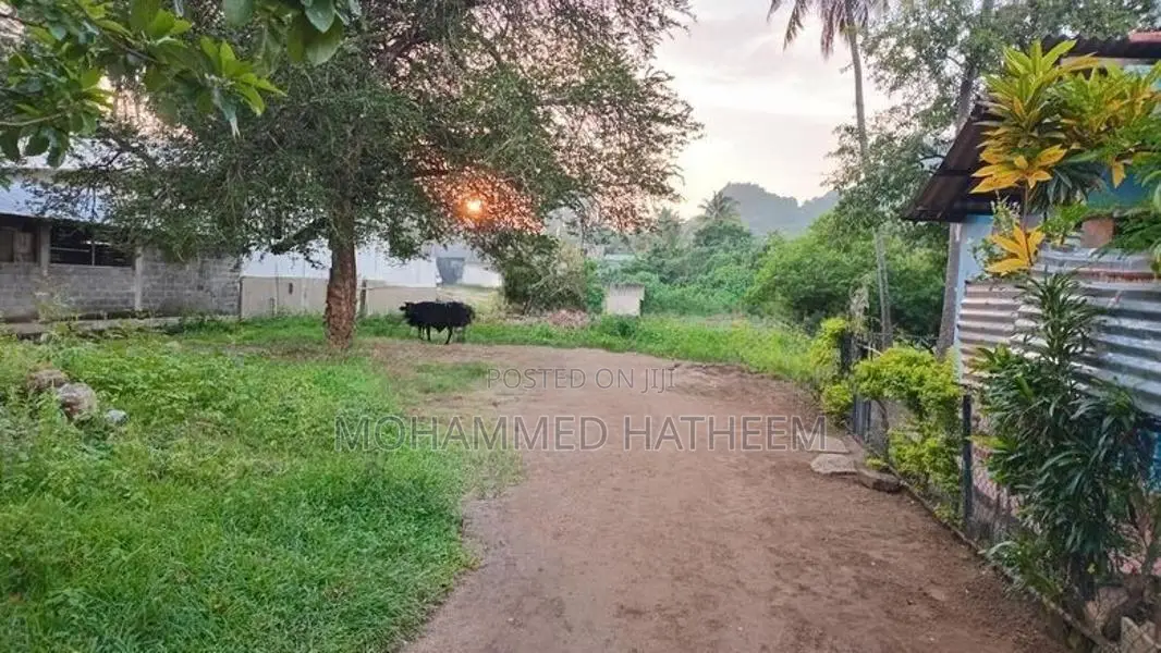 Land for Sale Near Kurunegala Town