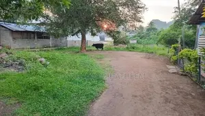 Land for Sale Near Kurunegala Town
