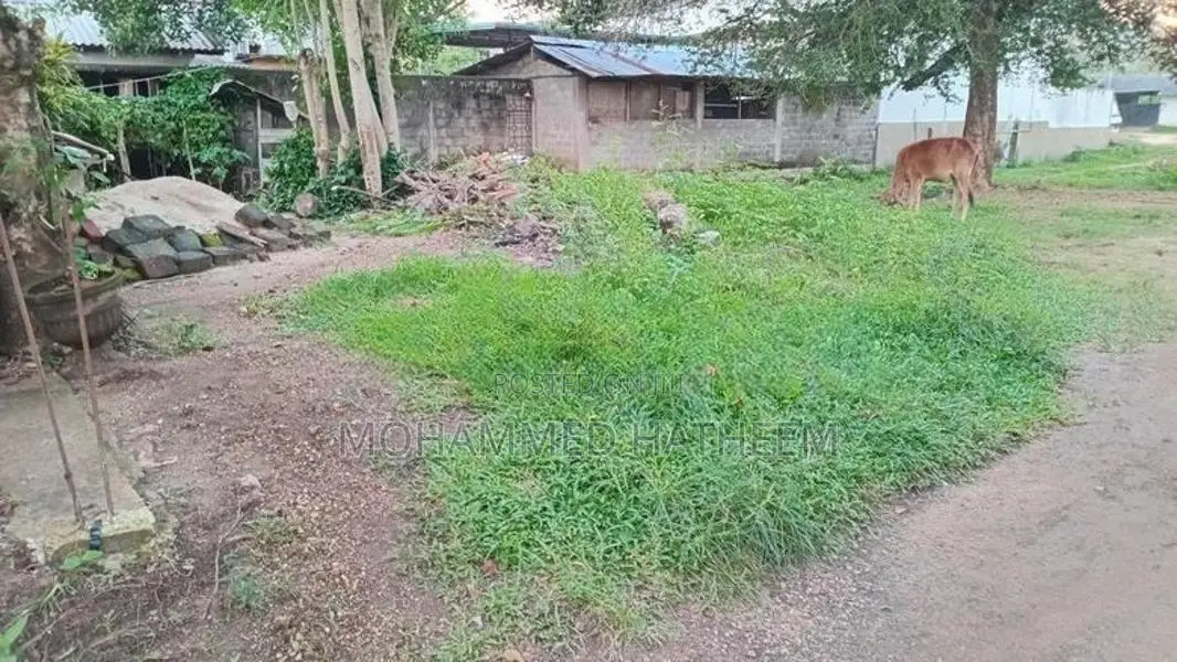 Land for Sale Near Kurunegala Town