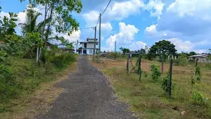 ඉඩමක් හොරණින්