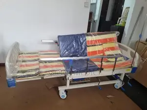Four Function Manual Beds with Sanitory