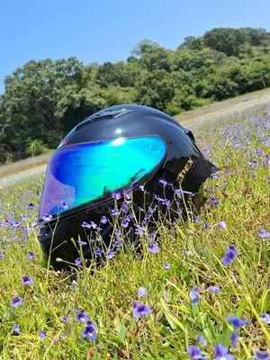 Ridex Helmet