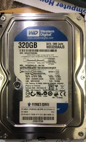 WD 320 Hard Disk
