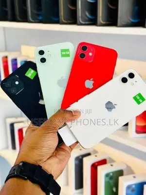 Apple iPhone 12 256GB (Used)