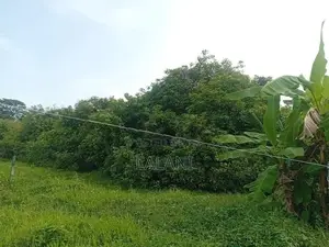 Land for Sale Kaduwela