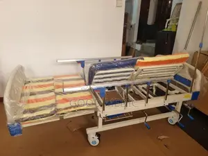 Four Function Manual Beds with Sanitory