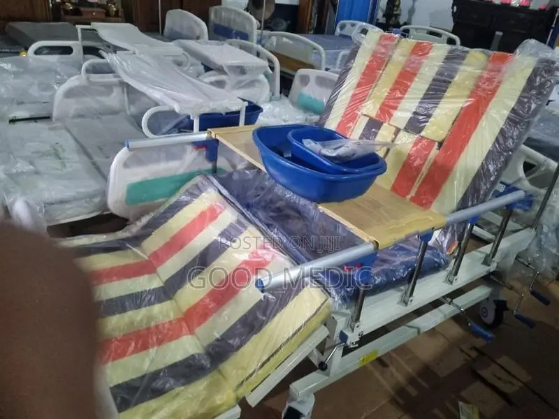 Four Function Manual Beds with Sanitory