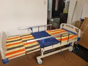 Four Function Manual Beds with Sanitory