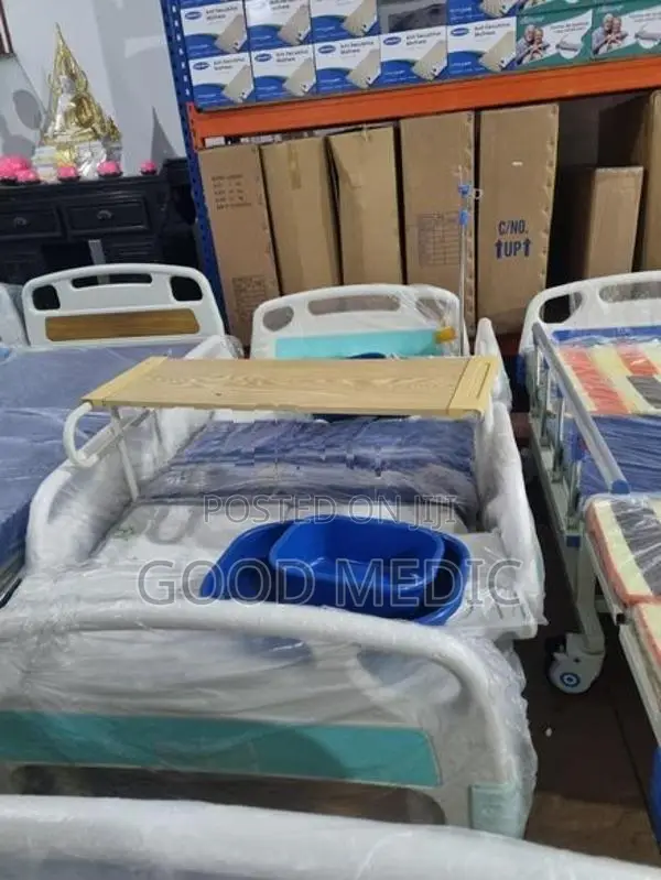 Five Function Electric Beds with Sanitory