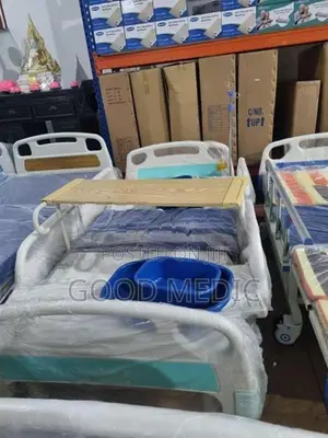 Five Function Electric Beds with Sanitory