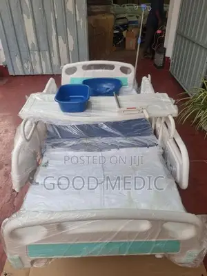 Five Function Electric Beds with Sanitory
