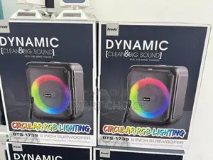 Brodu Bts-1739 Bluetooth Karaoke Speaker