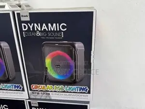Brodu Bts-1739 Bluetooth Karaoke Speaker